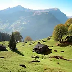 Aphrodite Ost With Magnificent Eiger View * Grindelwald
