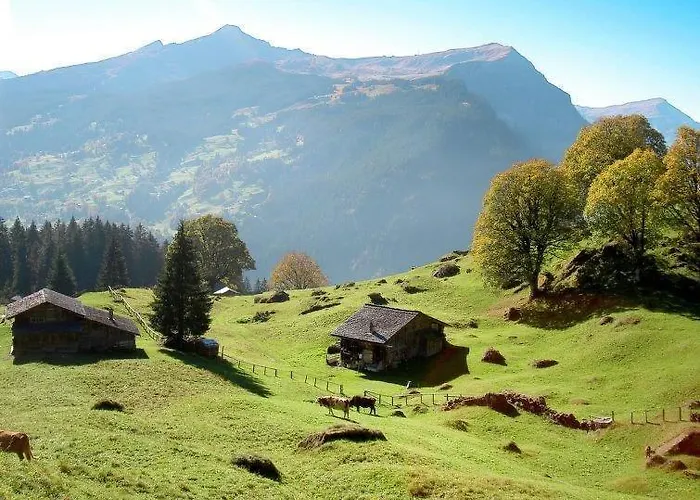 Aphrodite Ost With Magnificent Eiger View * 格林德瓦